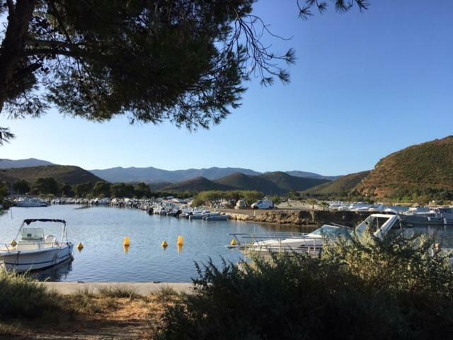 T3 la salamandre Saint-Florent  Bagian luar foto