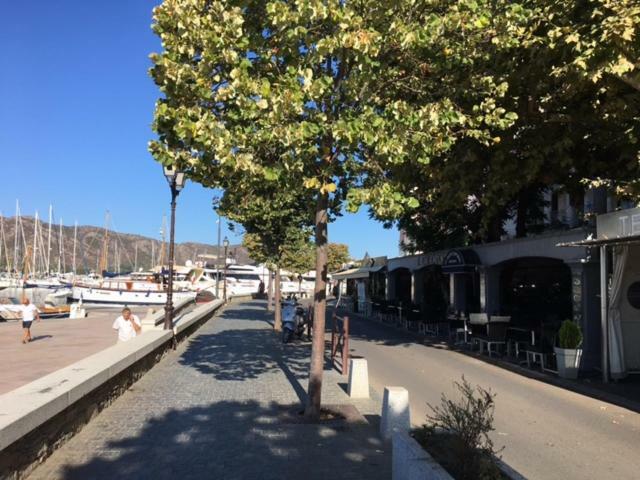 T3 la salamandre Saint-Florent  Bagian luar foto
